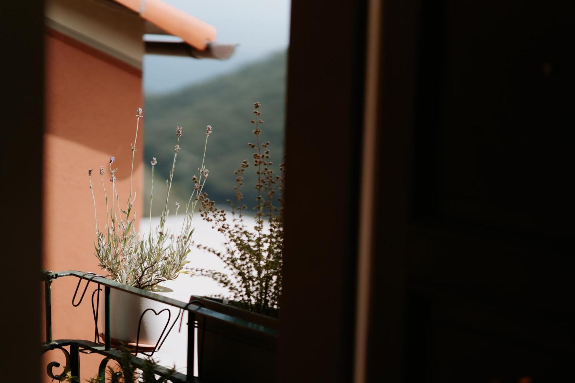 Il Castagno Holiday Home Teriasca Extérieur photo